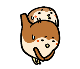 Cute sparrow, Chunta sticker #429429