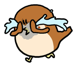 Cute sparrow, Chunta sticker #429444
