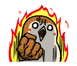 Cute sparrow, Chunta sticker #429447