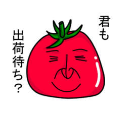 Japanese tomato sticker #431952