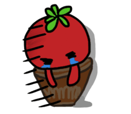 life of tomatoes sticker #434296
