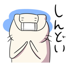 A lovely cat sticker #434703