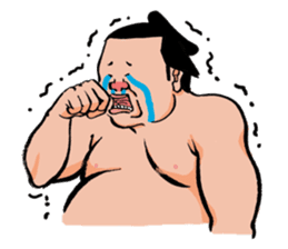 Sumo Wrestlers sticker #436599