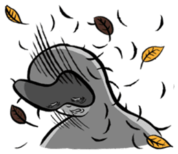 Anthem for all adults sticker #438034