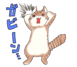 PETTALK sticker #438216