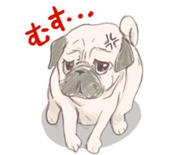 PETTALK sticker #438220