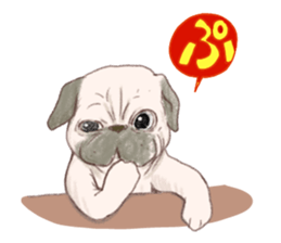 PETTALK sticker #438221