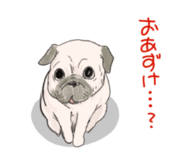 PETTALK sticker #438224