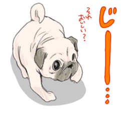 PETTALK sticker #438225