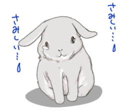 PETTALK sticker #438229