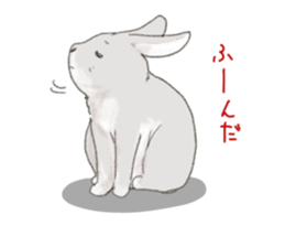 PETTALK sticker #438230