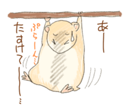 PETTALK sticker #438241