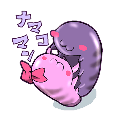 sea cucumber boys & sea cucumber girls