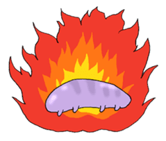 sea cucumber boys & sea cucumber girls sticker #439189