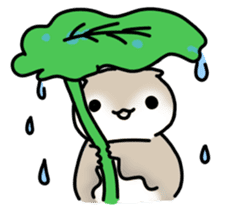 Akkamui sticker #440643