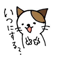 nyansuke4 sticker #441702