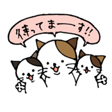 nyansuke4 sticker #441703