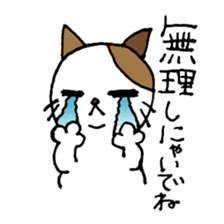 nyansuke4 sticker #441707