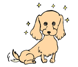 the Dachshund festival !! sticker #444898