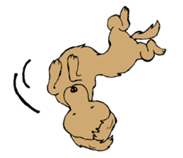 the Dachshund festival !! sticker #444900