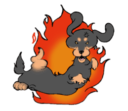 the Dachshund festival !! sticker #444902