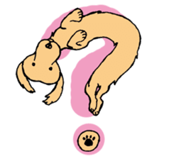 the Dachshund festival !! sticker #444912