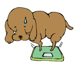 the Dachshund festival !! sticker #444922