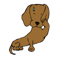 the Dachshund festival !! sticker #444924