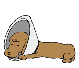 the Dachshund festival !! sticker #444925