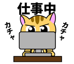 Kitten Nyanta sticker #446843