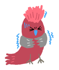 Happy chubby bird. sticker #447511