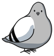LOVE pigeons sticker #450985