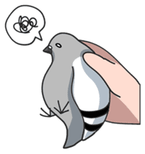 LOVE pigeons sticker #451023