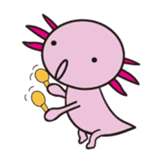 axolotl sticker #451921