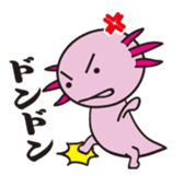 axolotl sticker #451935