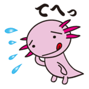 axolotl sticker #451936