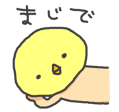 Piyo <2> sticker #452028