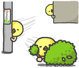 Piyo <2> sticker #452037