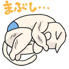 Macho Cat in Summer <2nd Collection> sticker #452253