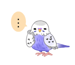 Budgerigar full sticker #452590