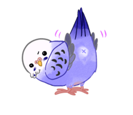 Budgerigar full sticker #452591