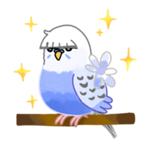 Budgerigar full sticker #452594