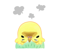 Budgerigar full sticker #452598