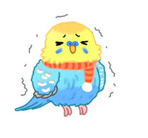 Budgerigar full sticker #452605
