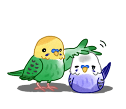 Budgerigar full sticker #452612
