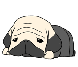 Mr. Pug sticker #453493