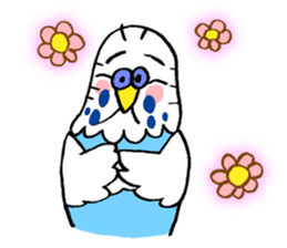 PIPI of the parakeet sticker #453553