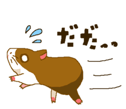 Guinea pig sticker #453874