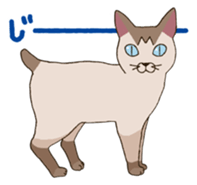 Tofu & Hijiki sticker #453989