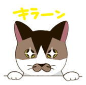 Tofu & Hijiki sticker #453993